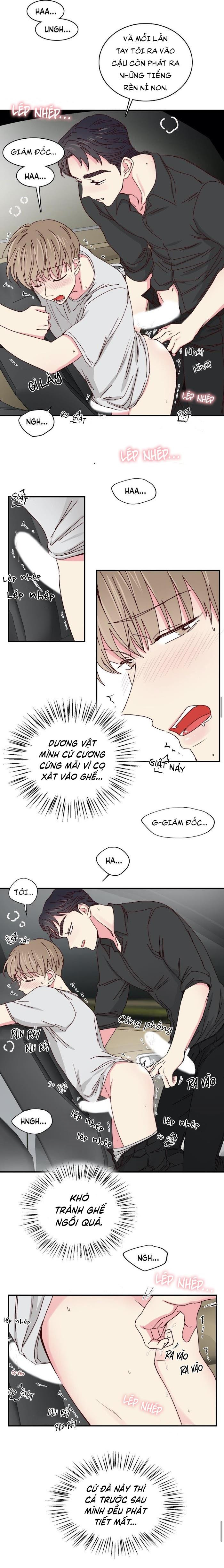 món tráng miệng của sếp tổng chapter 34 6