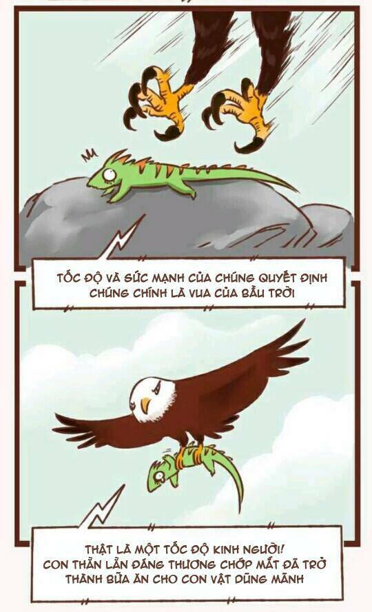 thần thú ly tán chapter 1 35