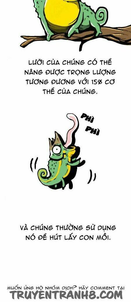 earth, human, and animal chapter 19 16