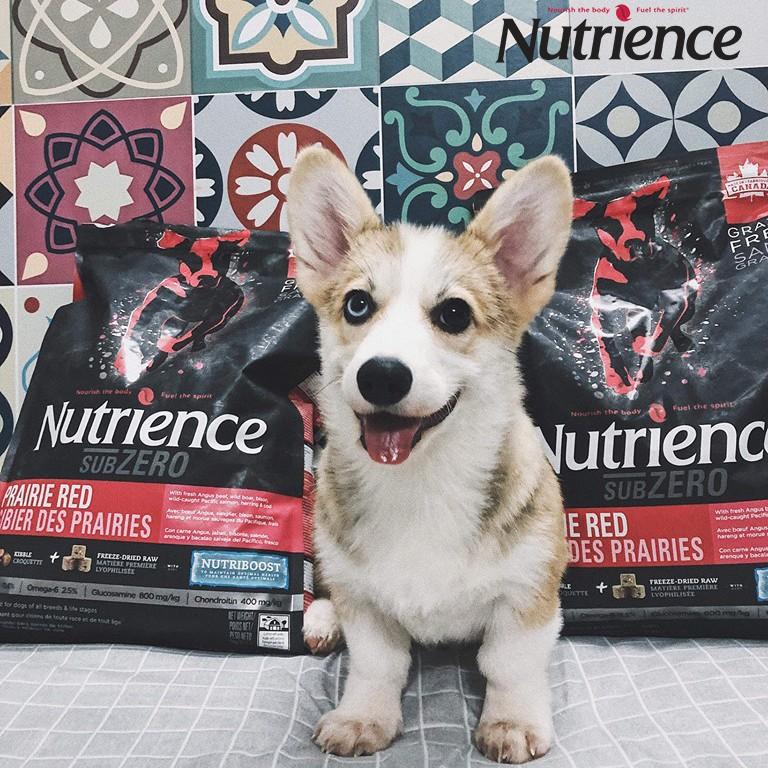 Thức Ăn Hạt Cho Chó Corgi Nutrience Subzero Da Lông Bóng Mượt Bao 2.27kg 6 Loại Thịt Cá, Rau Củ, Trái Cây