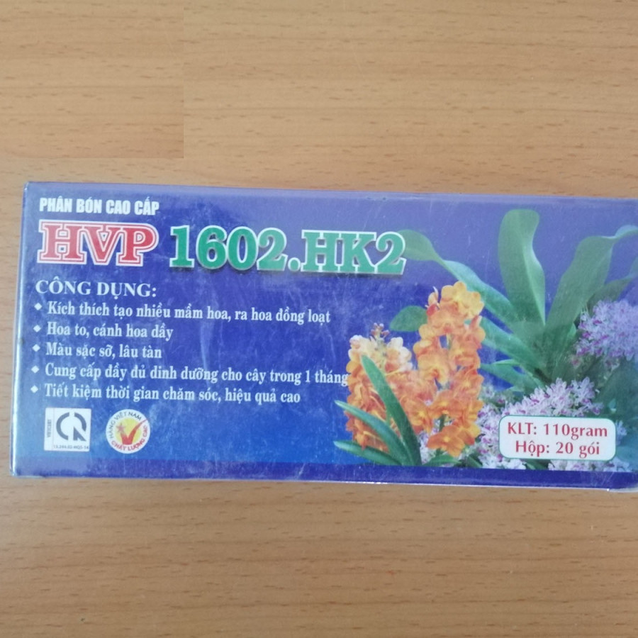 HVP 1602.HK2 - KÍCH THÍCH RA HOA CHO PHONG LAN, BON SAI