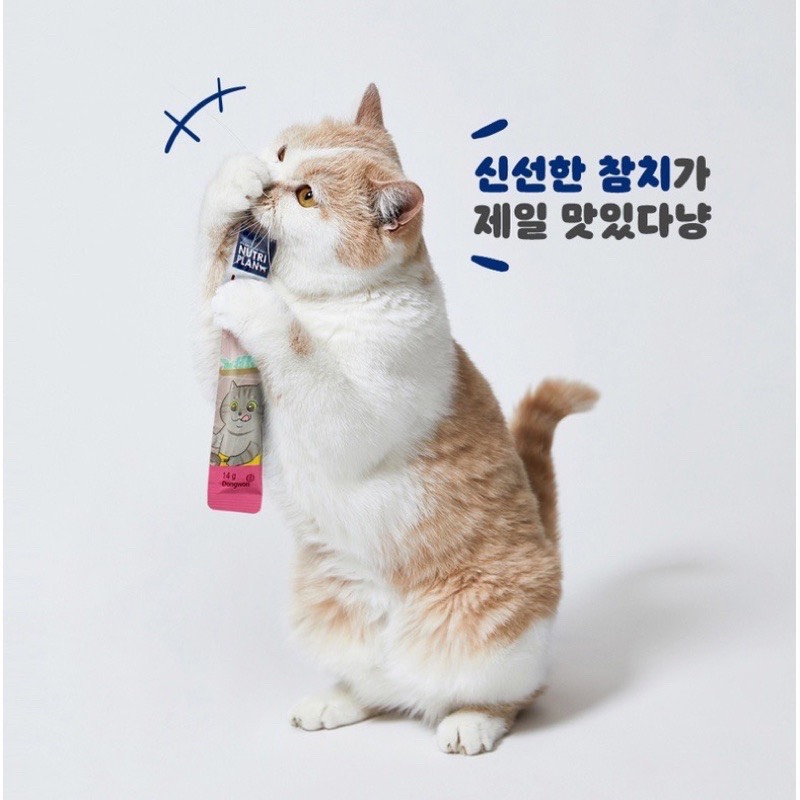 Súp Thưởng Nutri Plan Stick Dành Cho Mèo Trưởng Thành Làm Từ Cá Ngừ Thượng Hạng Nhập Khẩu Hàn Quốc 14g - cá ngừ &amp; cá hồi