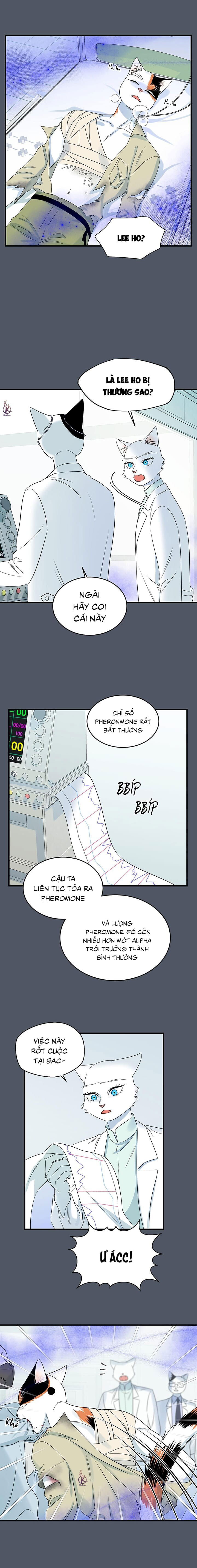 dự án xanh chapter 45 3