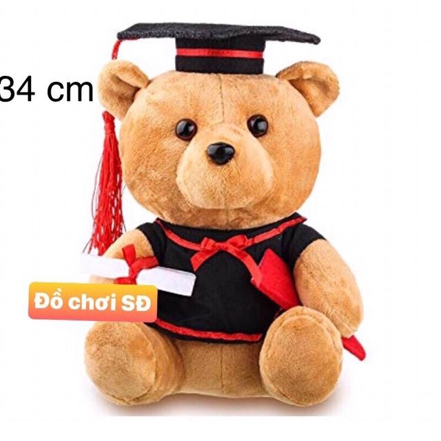 Gấu tốt nghiệp
