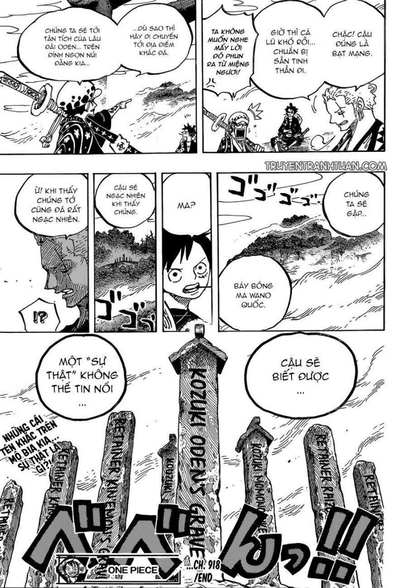 đảo hải tặc - one piece chapter 918 16