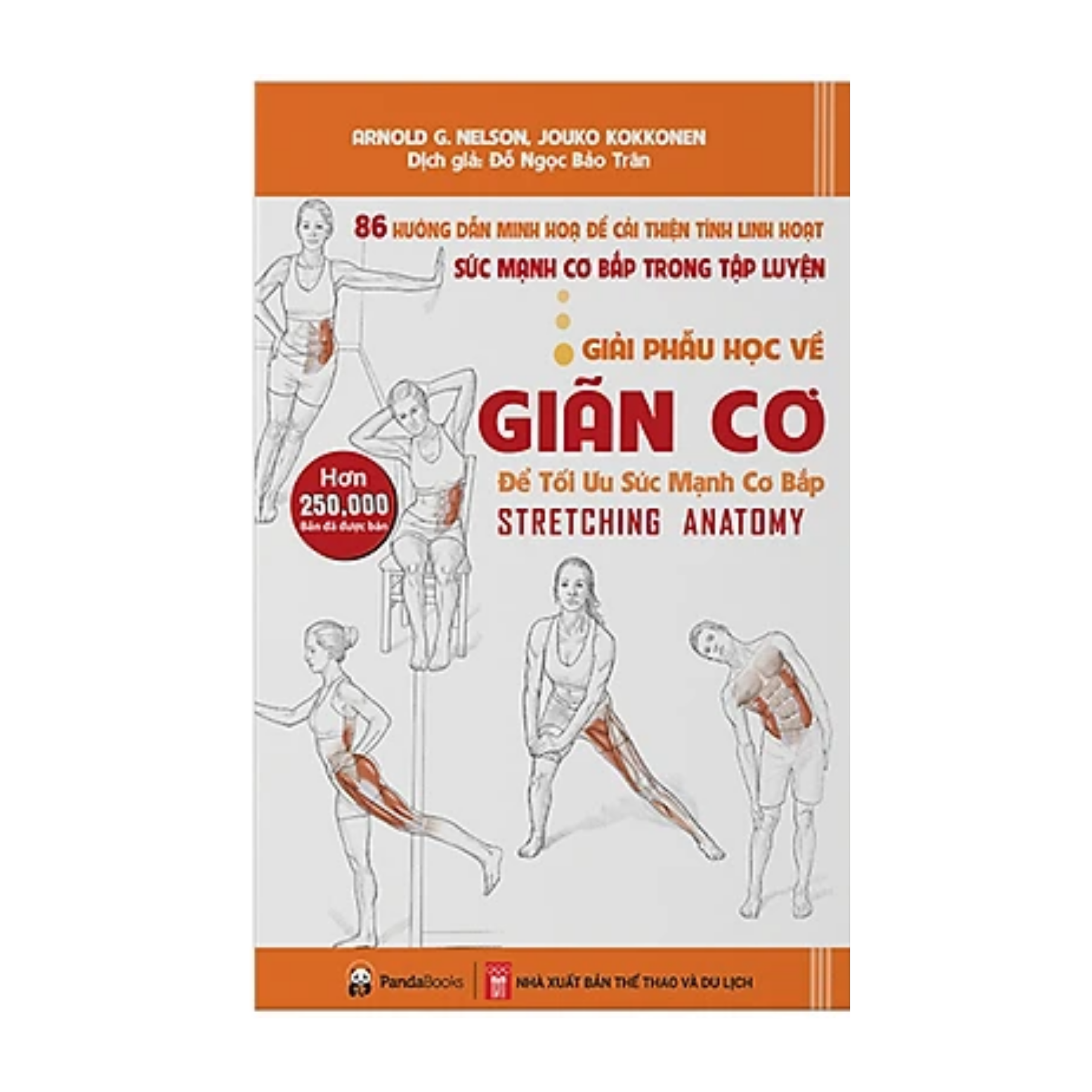 Giải Phẫu Học Về Giãn Cơ - Giãn Cơ Để Tối Ưu Sức Mạnh Cơ Bắp