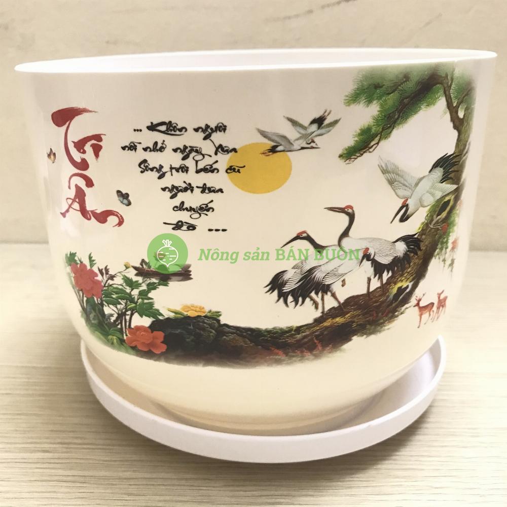 5 Chậu Trồng Hoa, Cây Cảnh Tròn Sứ 170x130 Có Kèm Đĩa Lót - Nhựa Đức Minh