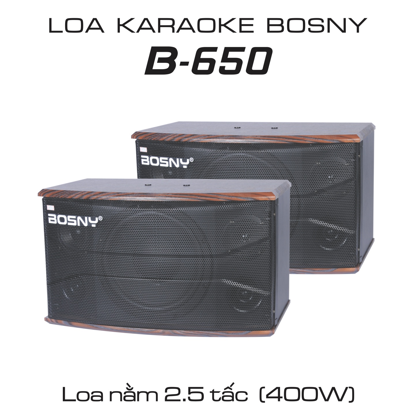 LOA KARAOKE CHUYÊN NGHIỆP BOSNY B-650 (Hàng chính hãng)