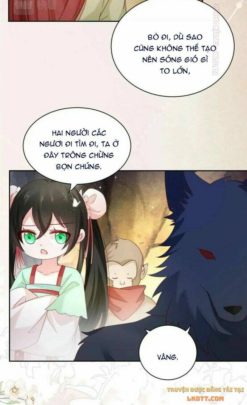 hắc hóa nam chính trực tuyến nuôi thỏ chapter 52 35