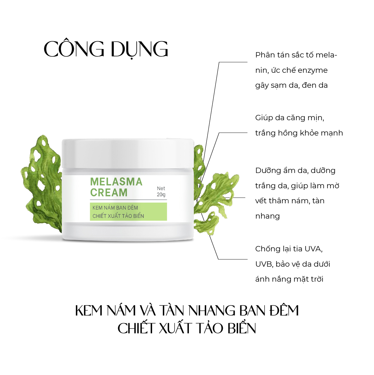 Kem trị nám tàn nhang chiết xuất tảo biển Truesky Melasma Cream