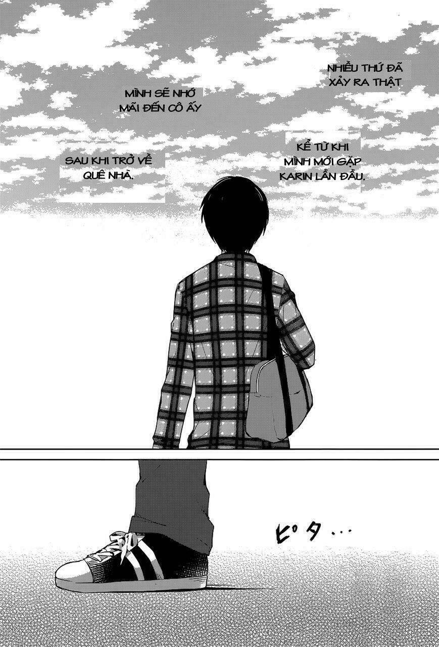 chuyện tình nhẹ nhàng và ngọt ngào chapter 20 13