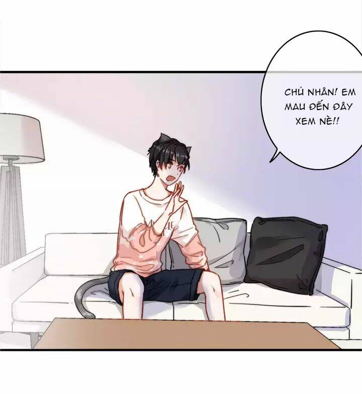 thập quang mật ngữ chapter 12.5 3