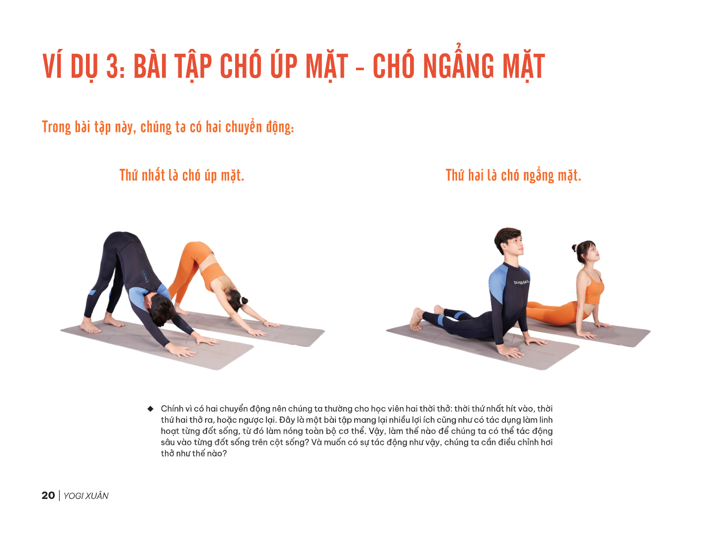 Sách - 5 Levels Mở Lưng Trên