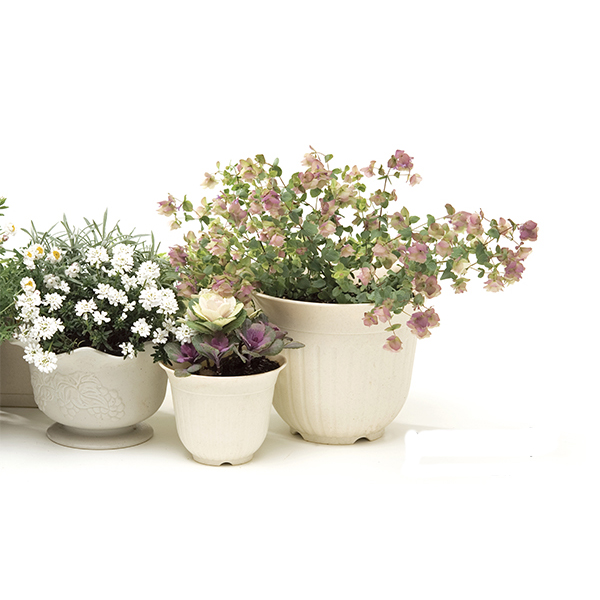 Chậu Trồng Cây 24 x 17 cm Nhật Bản + Tặng Hồng Trà Sữa Maccaca 20g