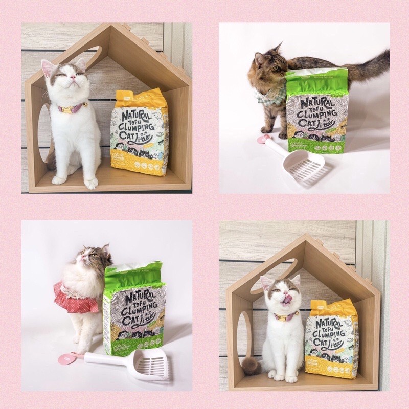 Cát đậu nành Cature Tofu 6L - Natural Tofu Clumping Cat Litter