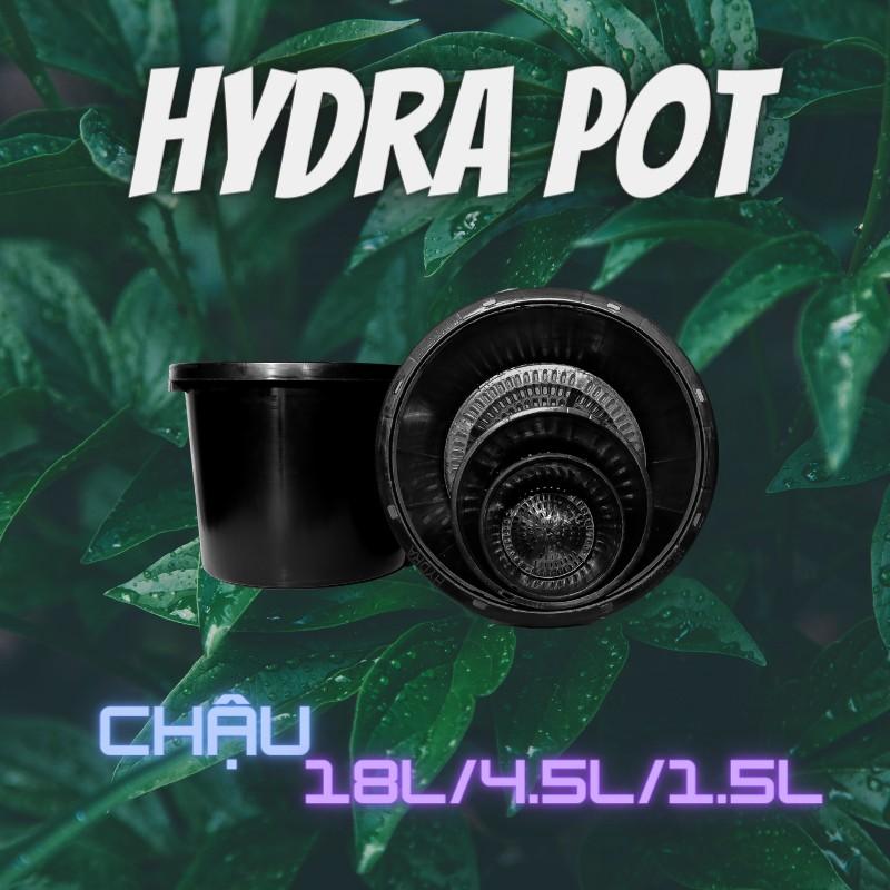 Bộ 10 Chậu Nhựa Trồng Cây Cao Cấp HYDRA 2L