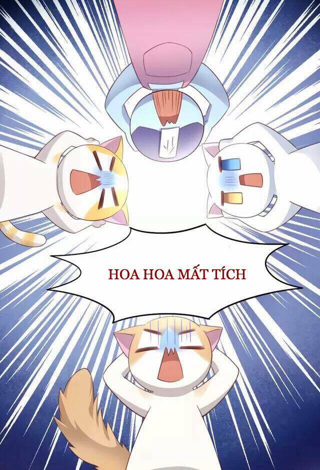 dưới móng vuốt mèo chapter 20 5