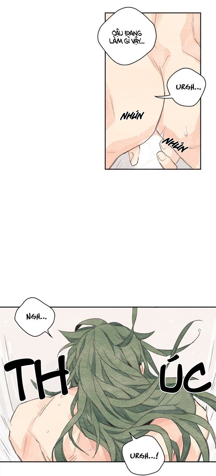 bắp cải bên dưới củ cải chapter 2 19