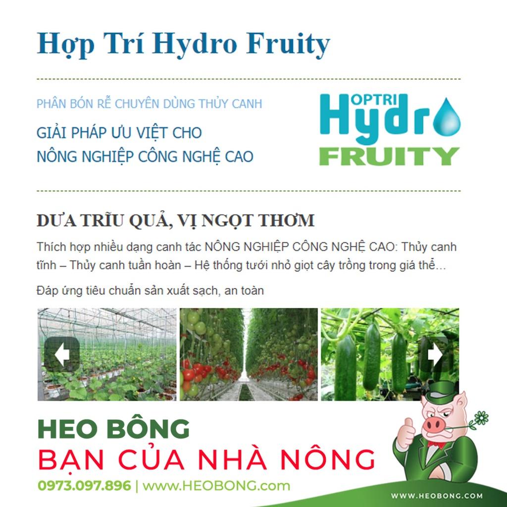 Dinh dưỡng thuỷ canh RAU ĂN TRÁI - HỢP TRÍ HYDRO FRUITY (Part A + Part B) - 200g