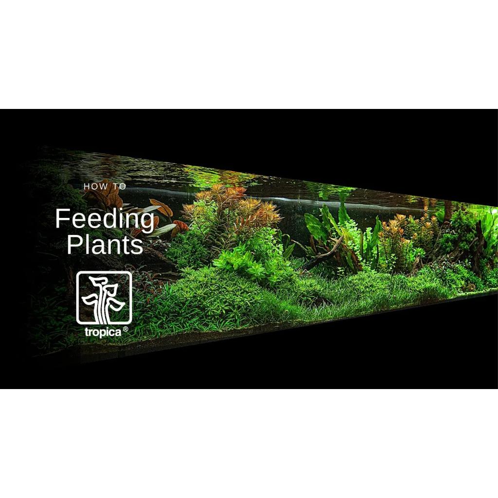 Phân nền cao cấp Tropica Aquarium Soil - phân nền chuyên cho thủy sinh - phụ kiện cá cảnh-shopleo