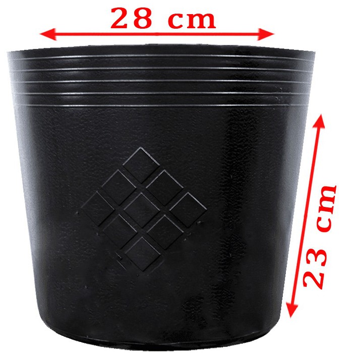 Combo 100 Chậu nhựa PE dẻo C11 miệng cao 28x23cm trồng cây bền từ 5 đến 10 năm-077106