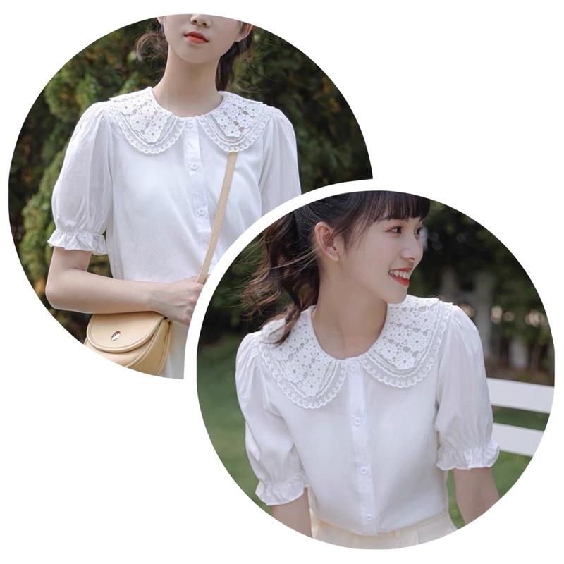 Áo sơ mi trắng phối cổ ren style Hàn hàng thiết kế