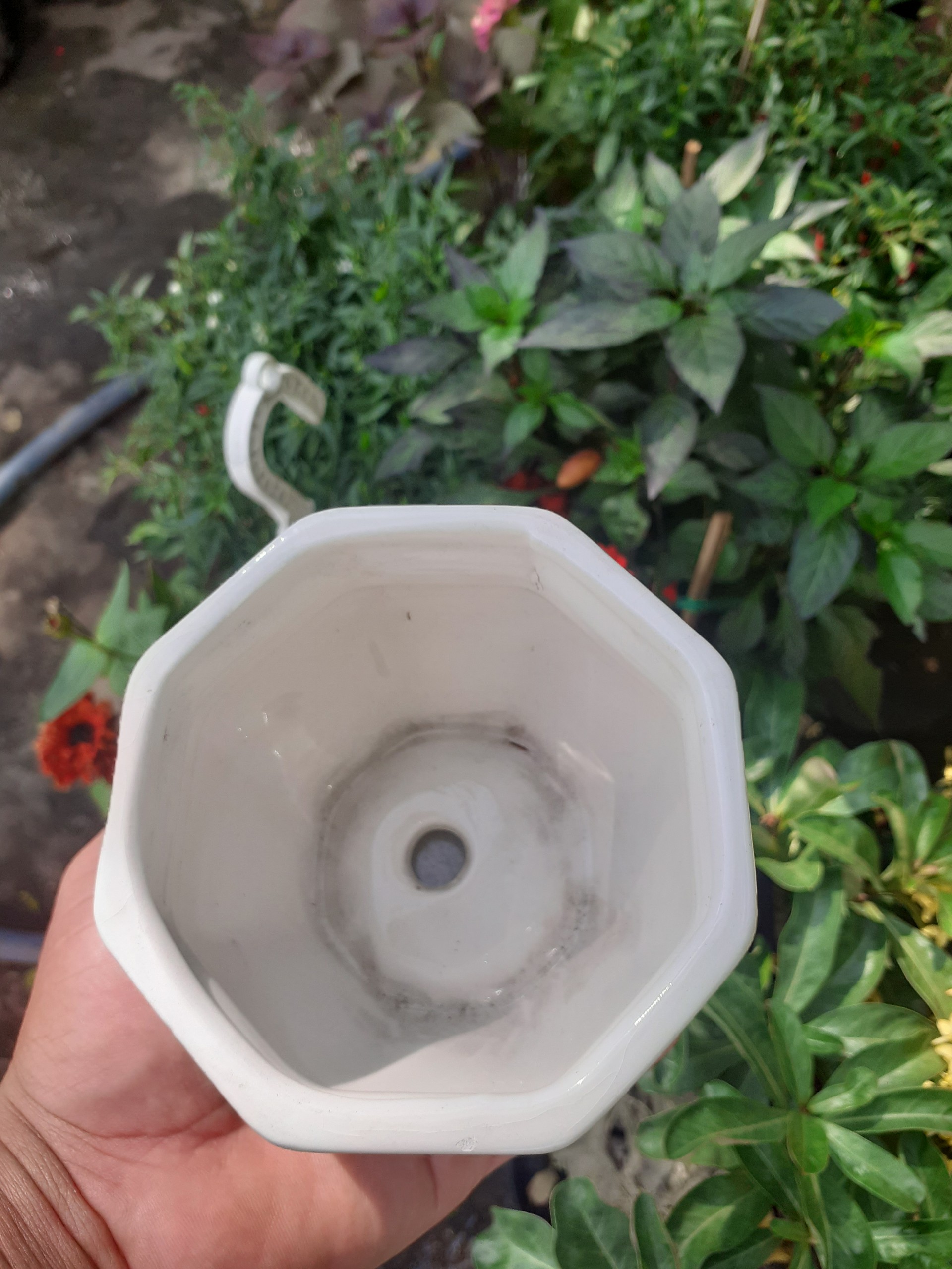 Chậu sứ kèm dĩa thơ thuỷ trúc bát giác đẹp tinh khiết