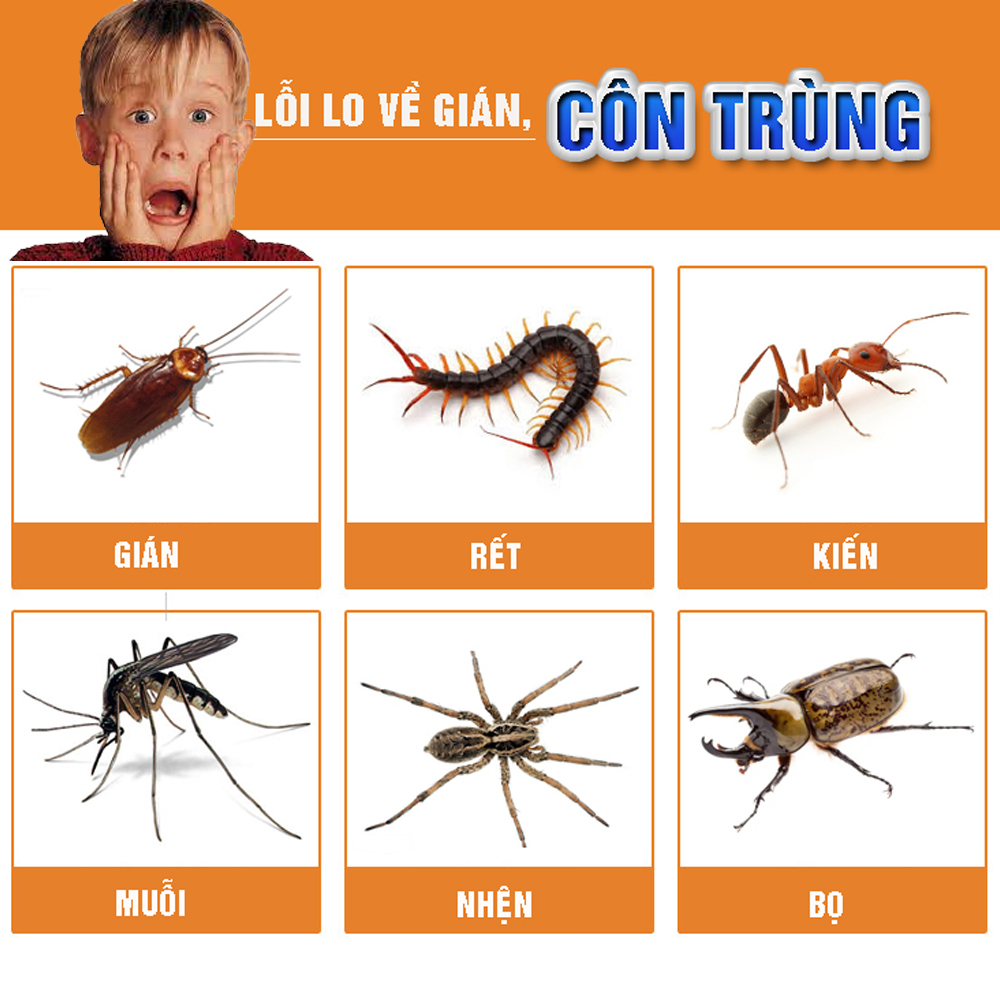 Bẫy gián, dụ côn trùng, giết kiến, bọ chét, rết, nhện, bọ cánh cứng, ruồi, muỗi, dùng miếng dính, 6 cổng dụ, hiệu quả ngay MIHOCO 1332/ Hàng chính hãng