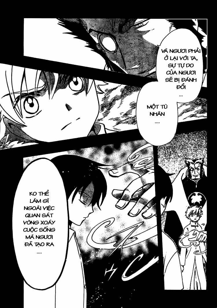 huyền thoại đôi cánh chapter 202 7