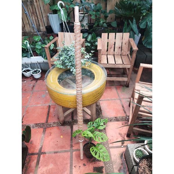 Trụ cây dây leo sơ dừa. lõi gỗ, sợi cotton 65-130cm