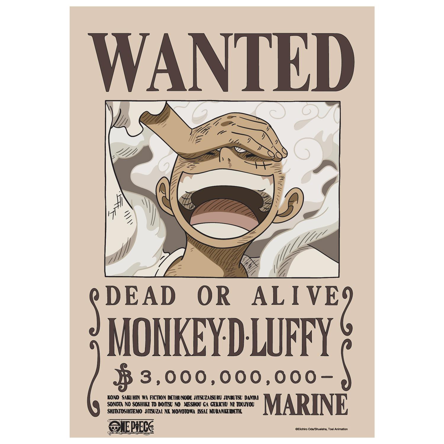 Poster One Piece V2 - Lệnh Truy Nã Luffy - TeenBox