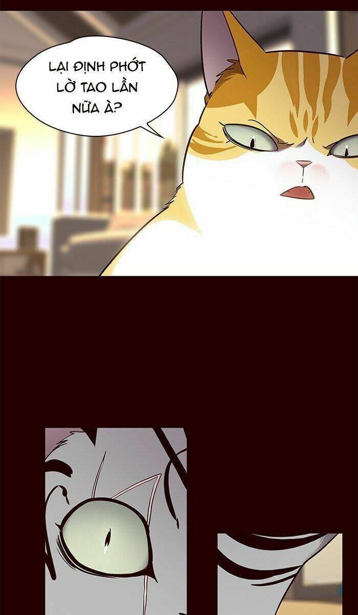 biến thân thành mèo chapter 67 42