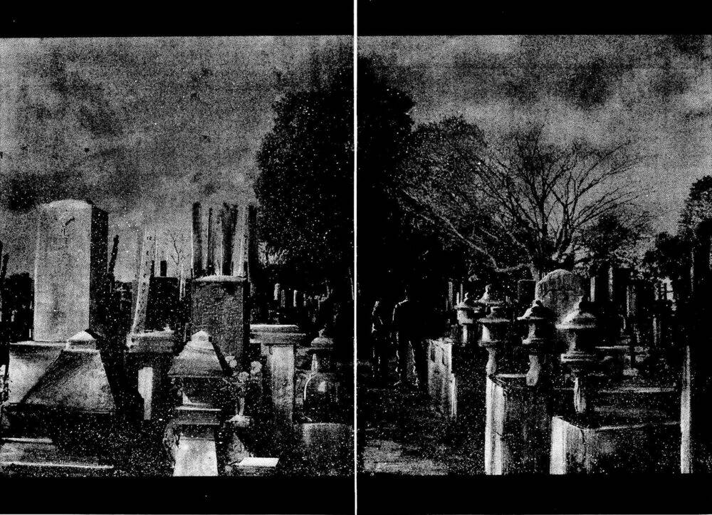 rainbow chapter 225 15