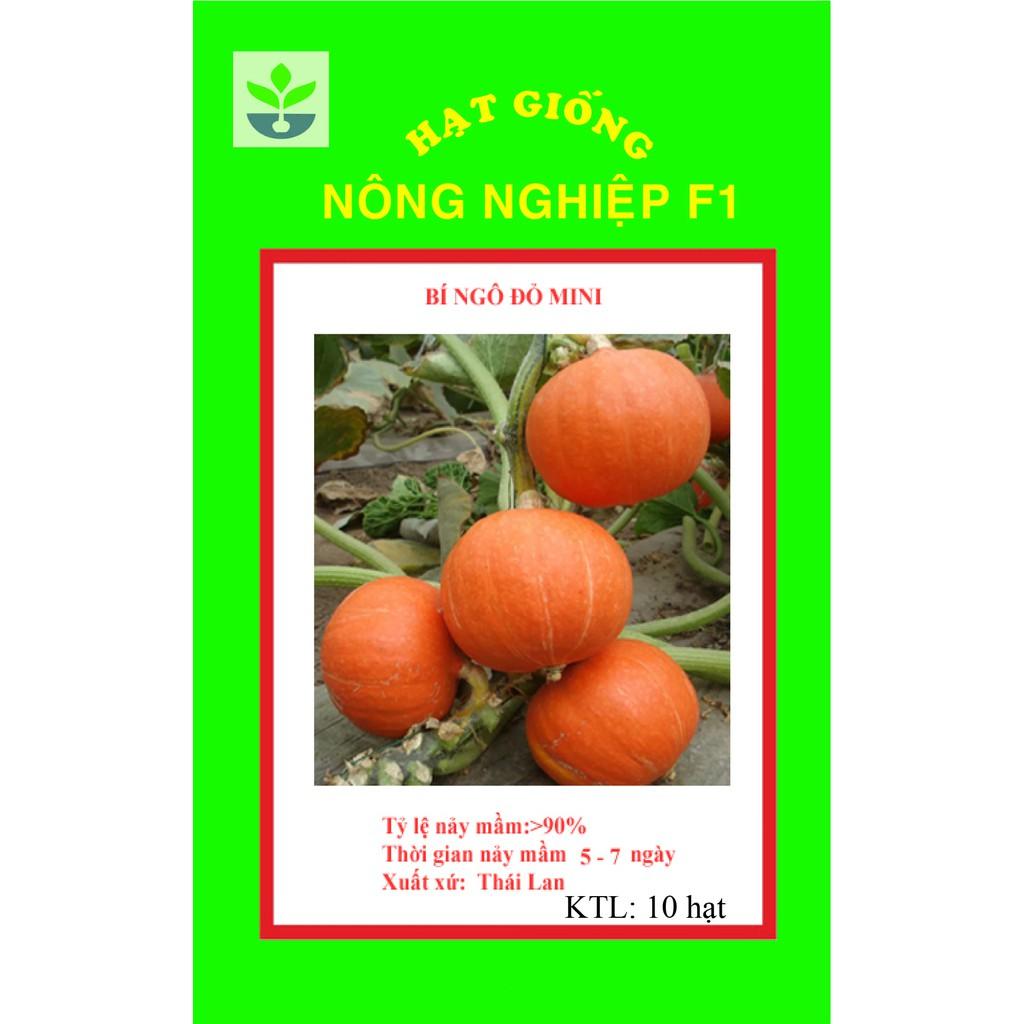 Gói 10 hạt giống bí ngô đỏ mini