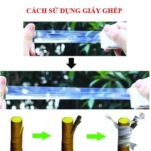 Băng Dính Ghép Cây Tự Hủy - Khổ 10cm -Siêu Rẻ