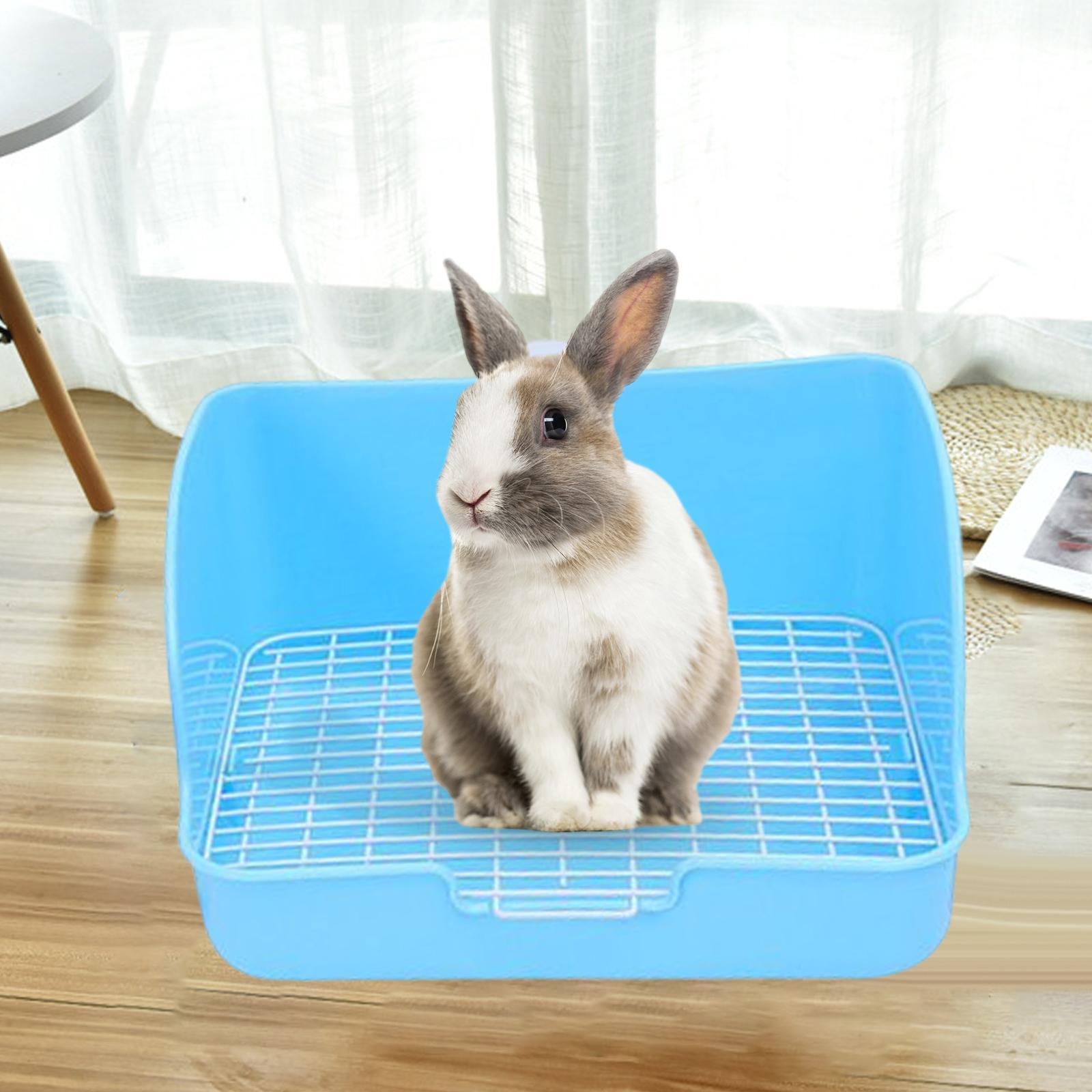 Hamster Chinchilla Ferret Hedgehog Supplies Pink