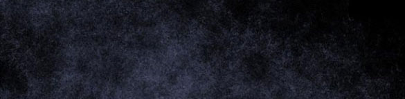 cách hiệp sĩ sống như một tiểu thư chapter 99.2 16