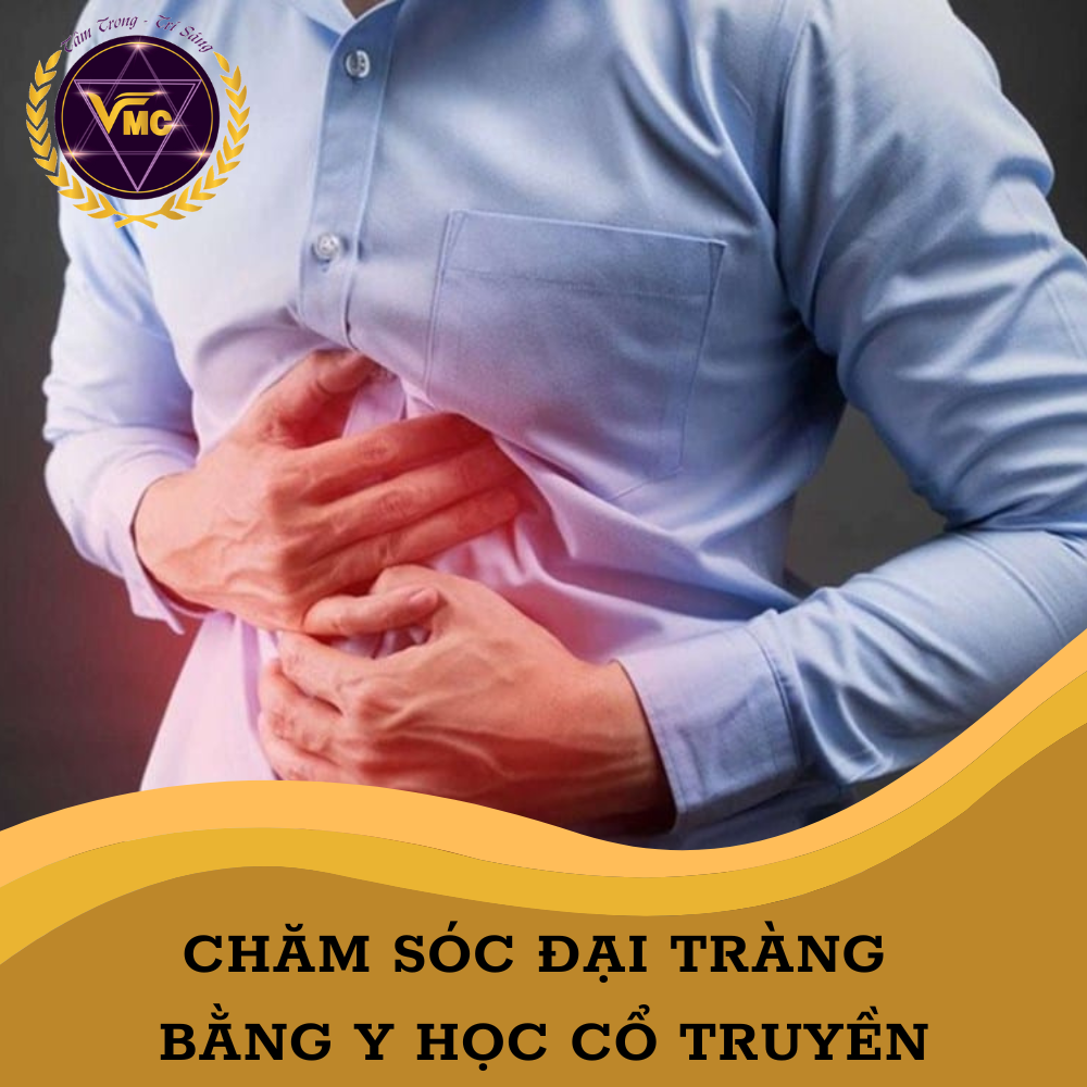 Khóa Học Video Online Chăm Sóc ĐẠI TRÀNG Bằng Y Học Cổ Truyền - Trung Tâm Chăm Sóc Sức Khỏe VMC