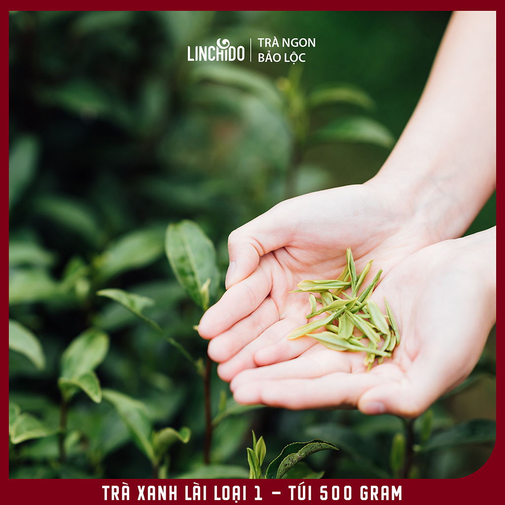 Trà Xanh Lài Loại 1 - Trà Pha Chế - Pha Trà Sữa, Trà Trái Cây - Túi 500 Gram