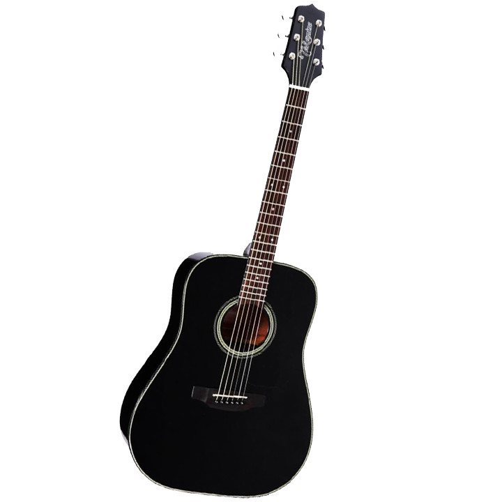 Đàn Guitar Acoustic Takamine D2D BLK