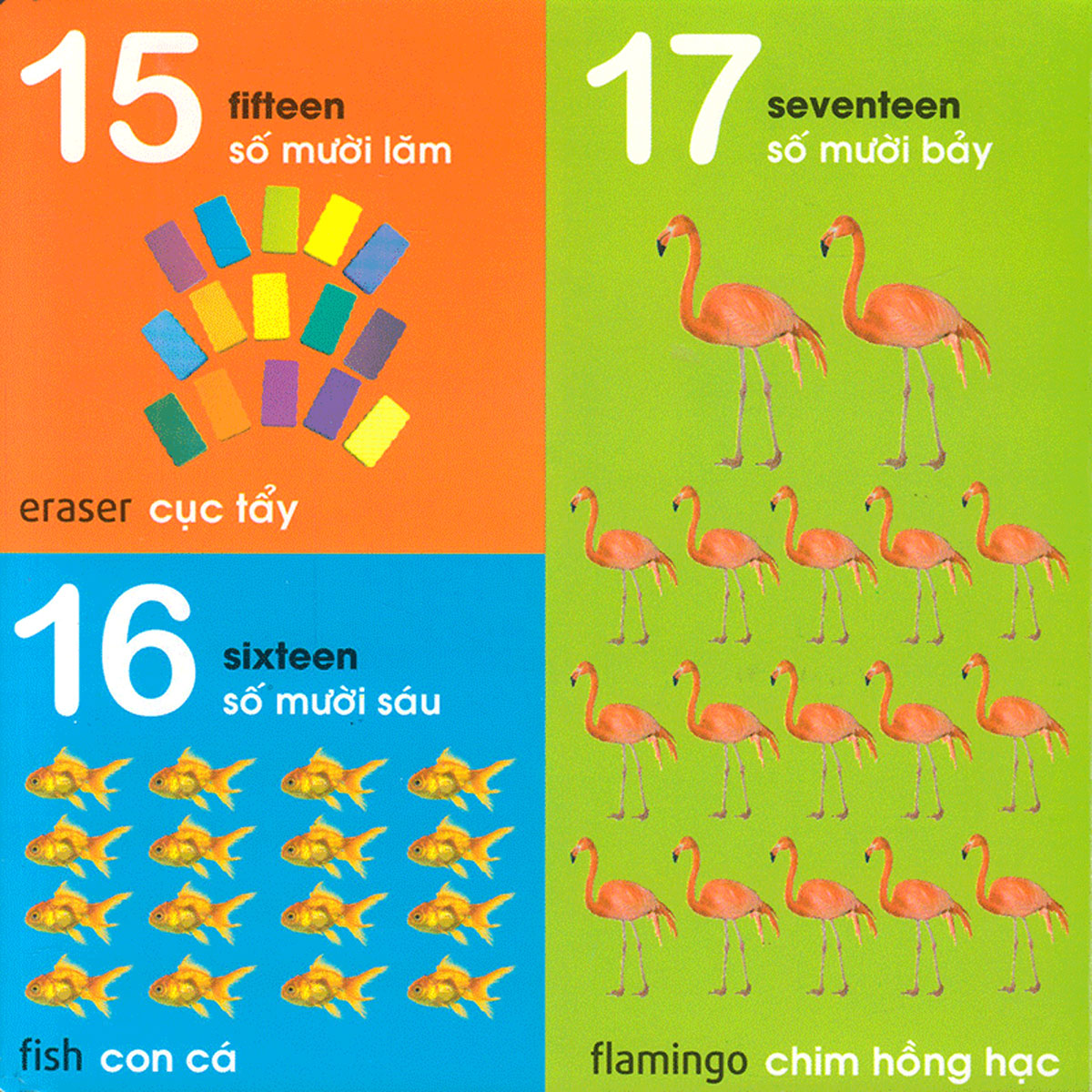 101 First Words: Numbers - Shapes - Colours (101 Từ Đầu Tiên: Chữ Số - Hình Dạng - Màu Sắc)_ML