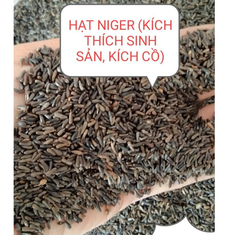 200g HẠT NIGER CHO CHIM VẸT