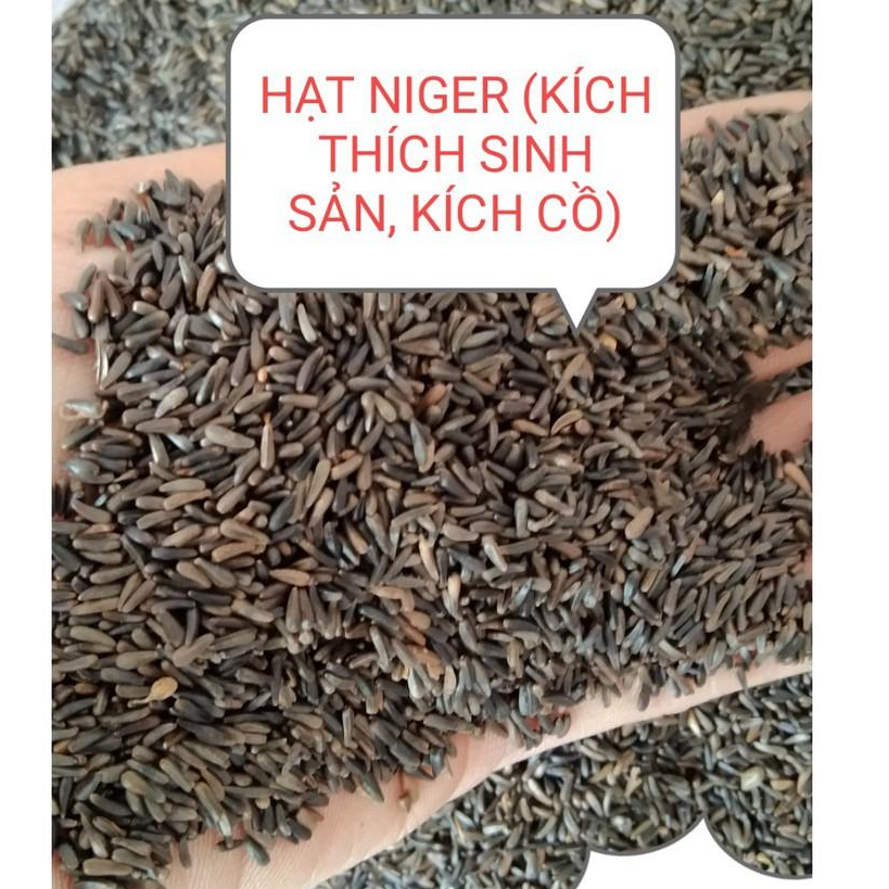 200g HẠT NIGER (KÍ.CH THÍ.CH SI.NH SẢ.N, KÍC.H C.Ồ) CHO CHIM VẸT