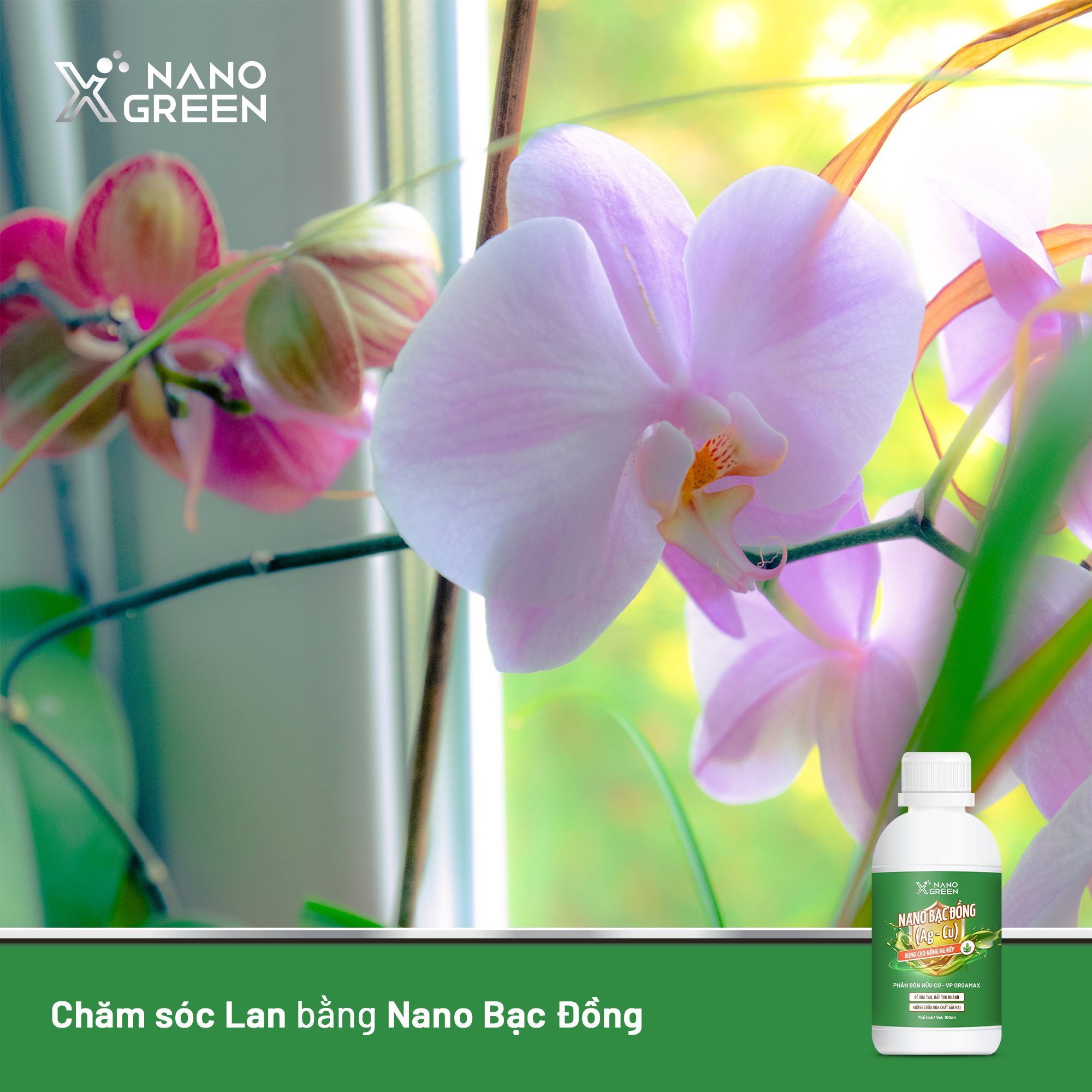 NANO BẠC ĐỒNG (Ag-Cu) PHÂN BÓN NANO XGREEN NÔNG NGHIỆP 100ML HẠN CHẾ NẤM, KHUẨN, BỆNH VÀNG LÁ, THỐI RỄ, XÌ MỦ THÂN-AHT CORP