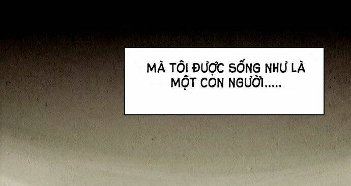 infectee chapter 1 37