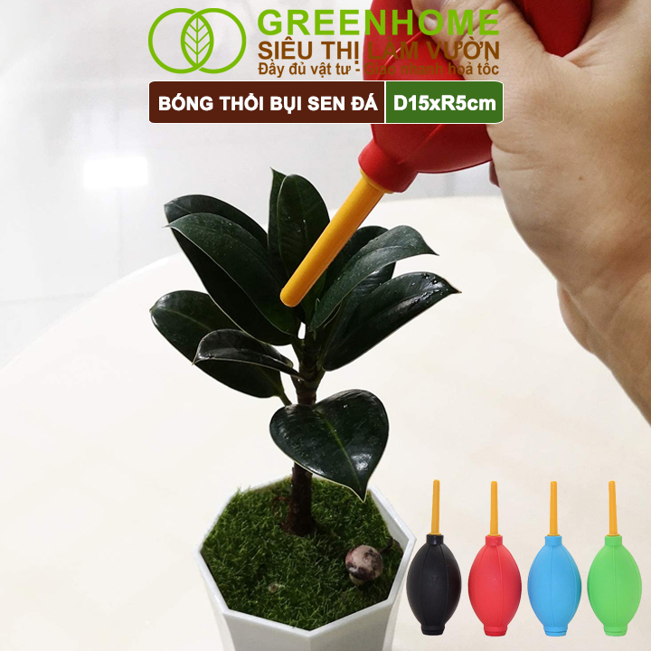 Bóng Cao Su Thổi Bụi Greenhome, D15xr5cm, Dụng Cụ Làm Vườn, Làm Sạch Cây Sen Đá, Bonsai, Màu Sắc Ngẫu Nhiên