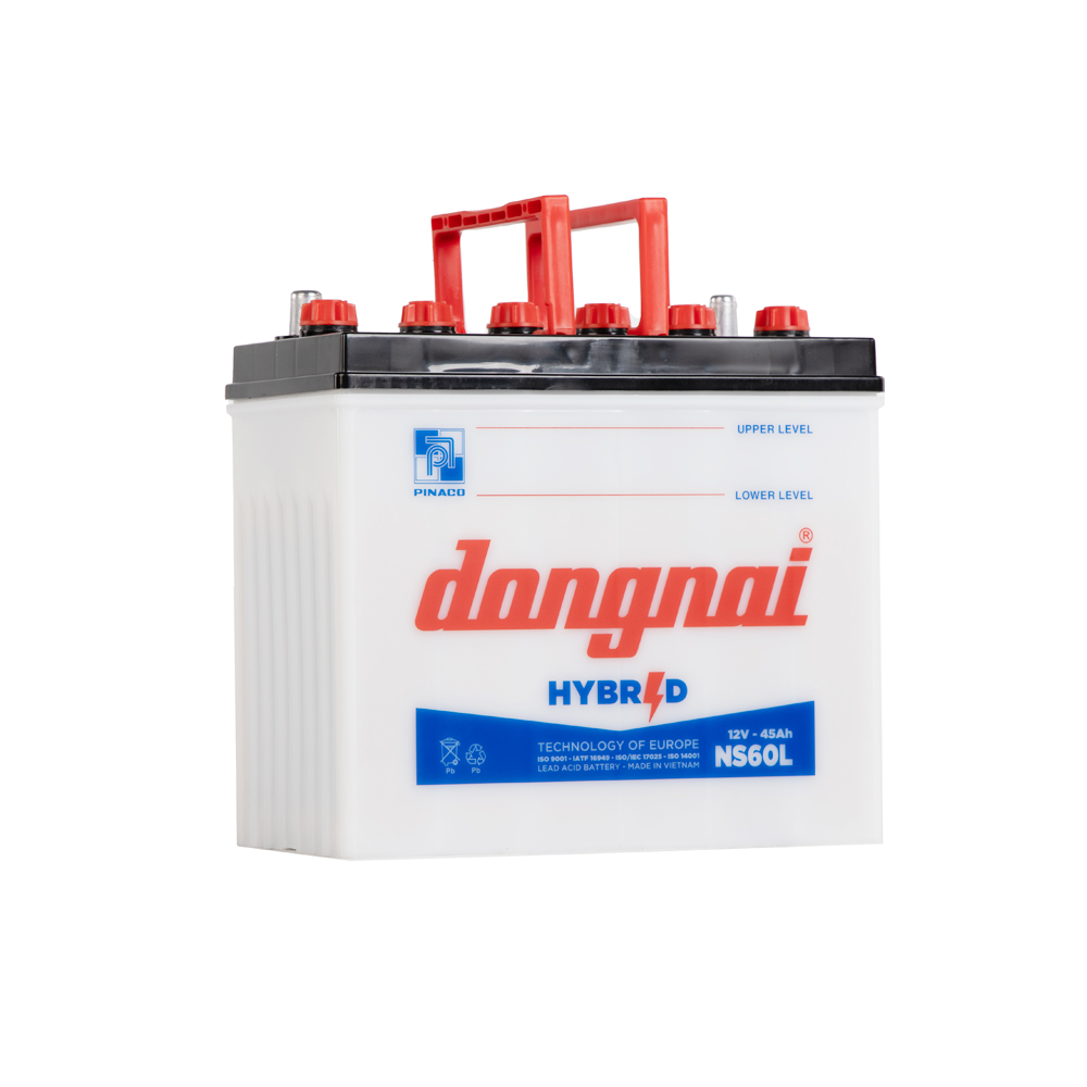 Ắc quy Hybrid Đồng Nai NS60L | 12V - 45Ah