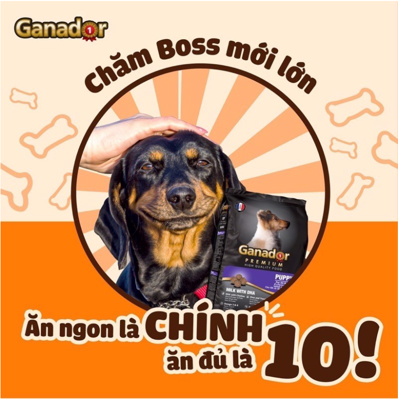 Combo 2 gói thức ăn cho chó con vị sữa & DHA Ganador Puppy Milk with DHA 3kg