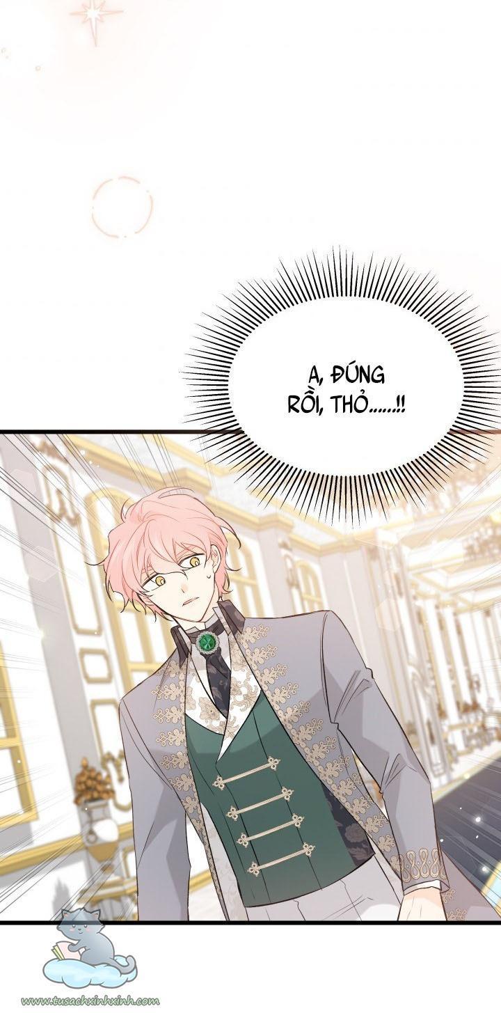 quan hệ cộng sinh giữa báo đen và thỏ trắng chapter 64 60