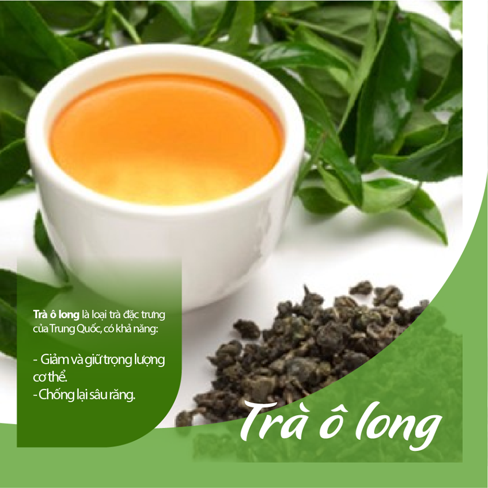 Trà Túi Lọc - Trà xanh Olong Cat Nghi Tea (60gr)